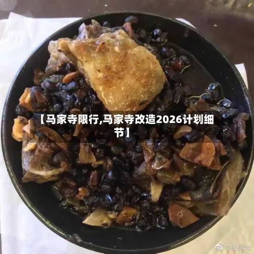 【马家寺限行,马家寺改造2026计划细节】