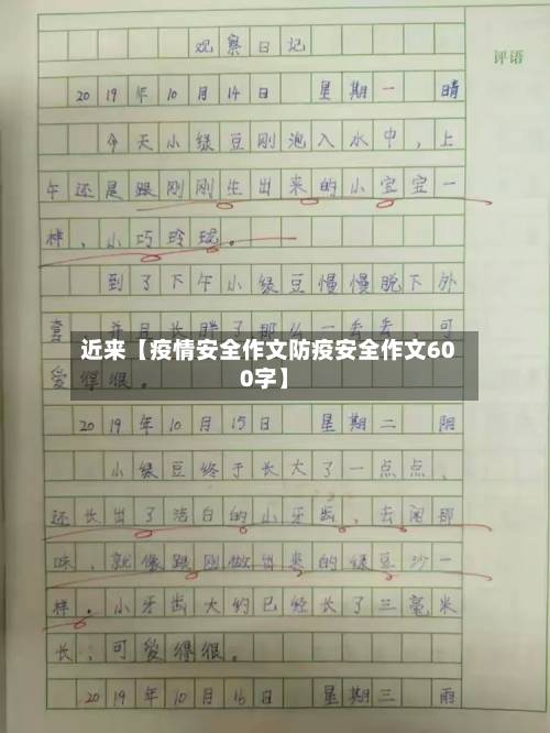 近来【疫情安全作文防疫安全作文600字】