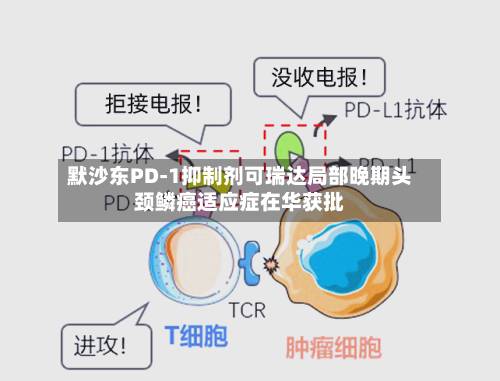 默沙东PD-1抑制剂可瑞达局部晚期头颈鳞癌适应症在华获批-第2张图片