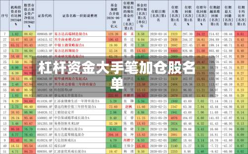 杠杆资金大手笔加仓股名单