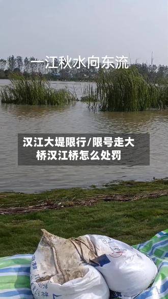 汉江大堤限行/限号走大桥汉江桥怎么处罚