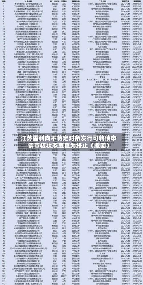 江苏雷利向不特定对象发行可转债申请审核状态变更为终止（撤回）-第3张图片