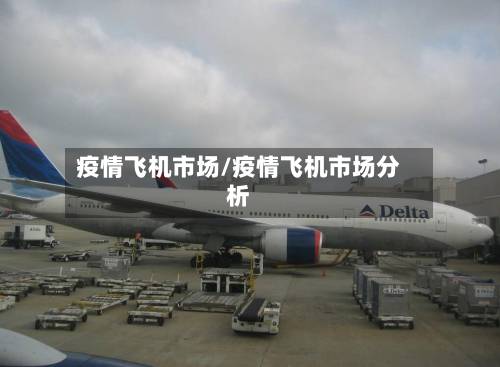 疫情飞机市场/疫情飞机市场分析