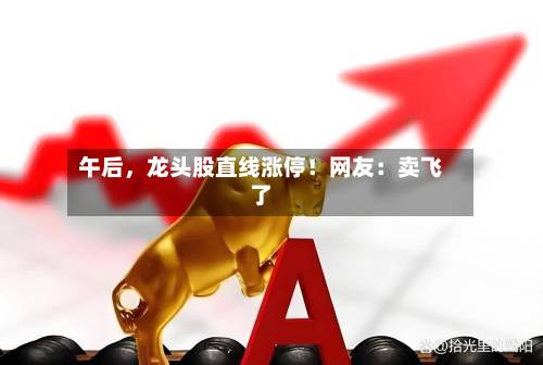 午后，龙头股直线涨停！网友：卖飞了