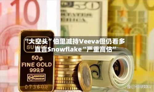 “大空头”伯里减持Veeva但仍看多 直言Snowflake“严重高估”