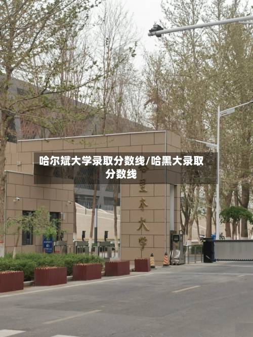 哈尔斌大学录取分数线/哈黑大录取分数线-第3张图片