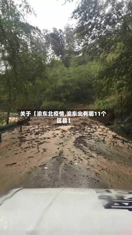 关于【渝东北疫情,渝东北有哪11个区县】
