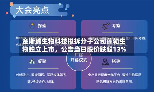金斯瑞生物科技拟拆分子公司蓬勃生物独立上市，公告当日股价跌超13%