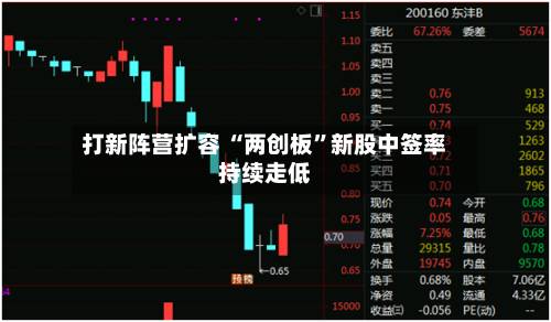 打新阵营扩容 “两创板”新股中签率持续走低-第2张图片