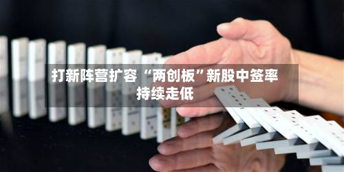 打新阵营扩容 “两创板”新股中签率持续走低-第1张图片