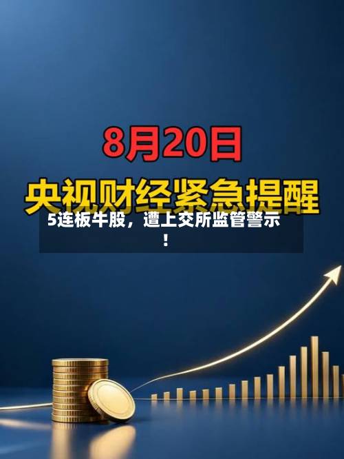 5连板牛股，遭上交所监管警示！-第2张图片