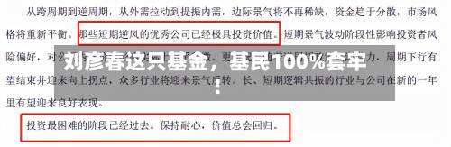 刘彦春这只基金	，基民100%套牢！-第3张图片