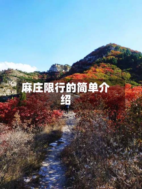 麻庄限行的简单介绍-第2张图片