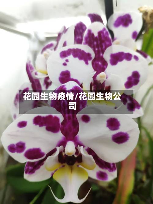 花园生物疫情/花园生物公司