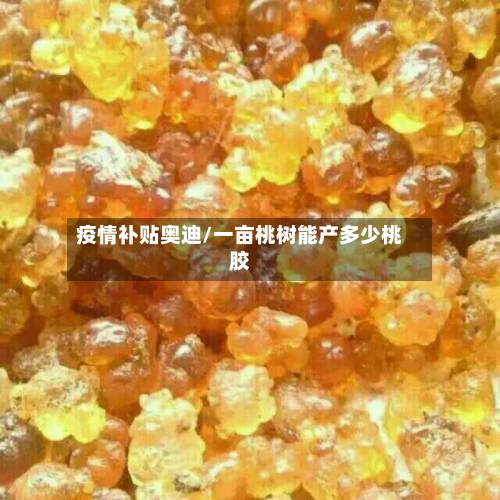 疫情补贴奥迪/一亩桃树能产多少桃胶