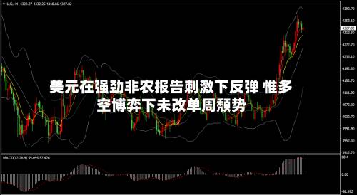 美元在强劲非农报告刺激下反弹 惟多空博弈下未改单周颓势