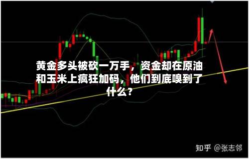 黄金多头被砍一万手，资金却在原油和玉米上疯狂加码，他们到底嗅到了什么？
