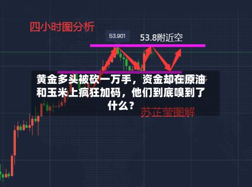 黄金多头被砍一万手，资金却在原油和玉米上疯狂加码	，他们到底嗅到了什么？-第3张图片
