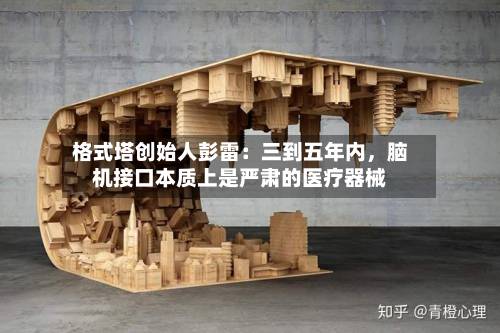 格式塔创始人彭雷：三到五年内，脑机接口本质上是严肃的医疗器械-第2张图片