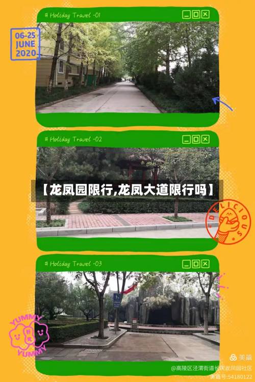 【龙凤园限行,龙凤大道限行吗】