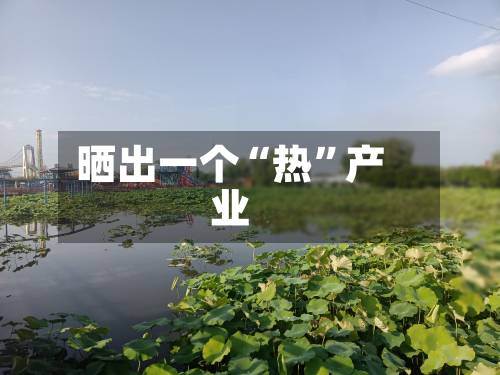 晒出一个“热”产业-第2张图片