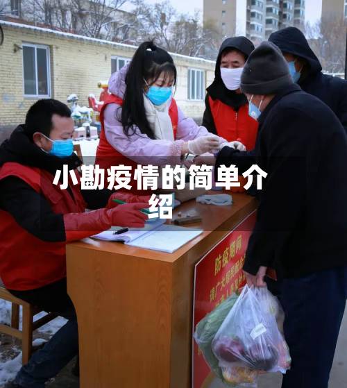 小勘疫情的简单介绍