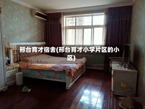 邢台育才宿舍(邢台育才小学片区的小区)-第2张图片