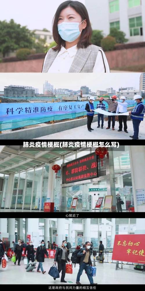 肺炎疫情梗概(肺炎疫情梗概怎么写)