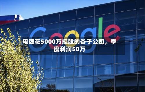 电魂花5000万控股的谷子公司，季度利润50万-第2张图片