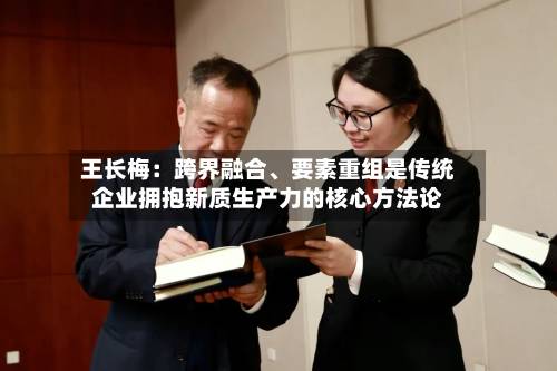 王长梅：跨界融合	、要素重组是传统企业拥抱新质生产力的核心方法论-第2张图片