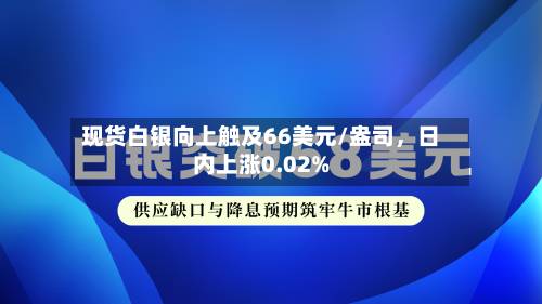 现货白银向上触及66美元/盎司，日内上涨0.02%-第2张图片