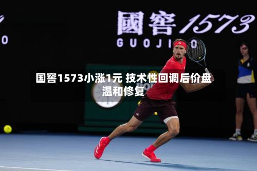 国窖1573小涨1元 技术性回调后价盘温和修复