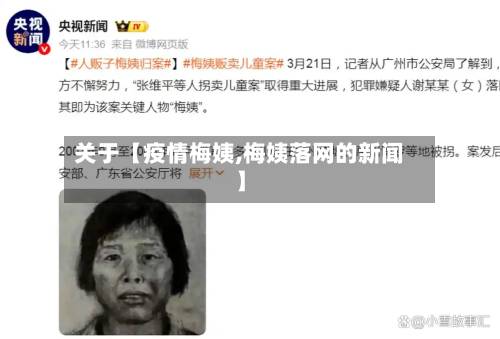 关于【疫情梅姨,梅姨落网的新闻】-第1张图片