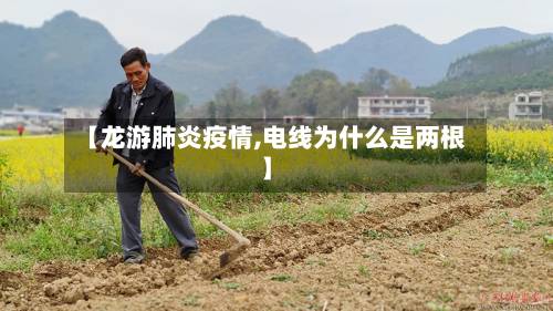 【龙游肺炎疫情,电线为什么是两根】-第2张图片