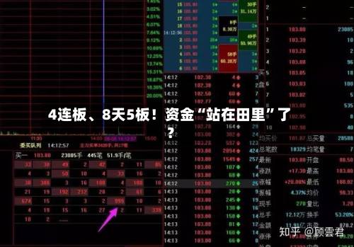 4连板、8天5板！资金“站在田里	”了？-第2张图片