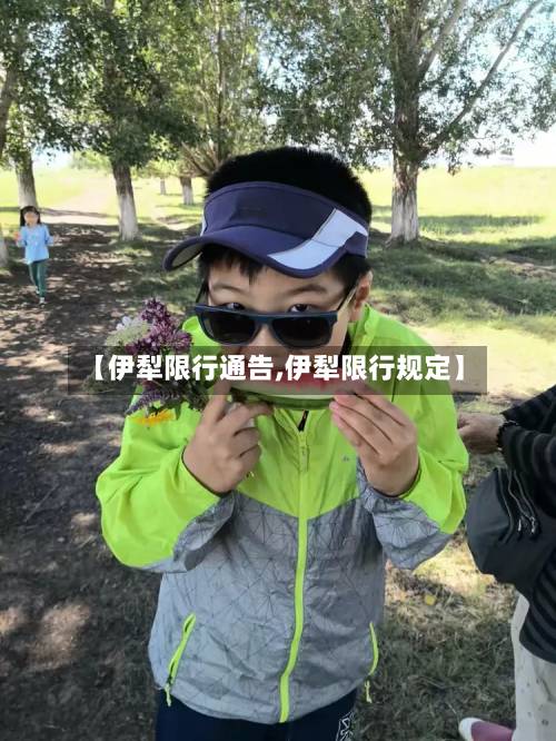 【伊犁限行通告,伊犁限行规定】