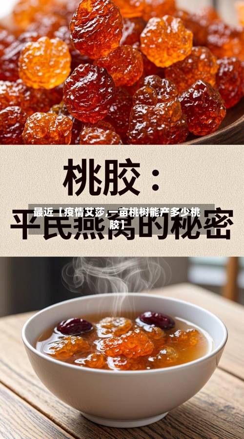最近【疫情艾莎,一亩桃树能产多少桃胶】-第3张图片