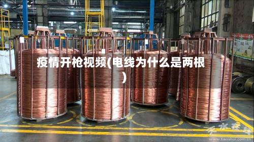 疫情开枪视频(电线为什么是两根)