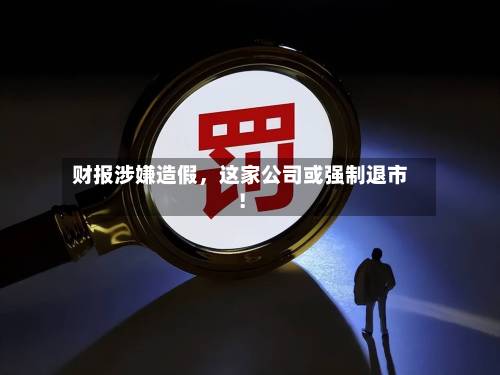 财报涉嫌造假，这家公司或强制退市！-第2张图片