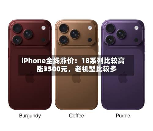 iPhone全线涨价：18系列比较高涨3500元，老机型比较多涨2300元-第2张图片