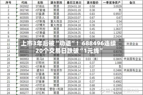 上市3年后被“劝退”！688496连续20个交易日跌破“1元线”-第3张图片