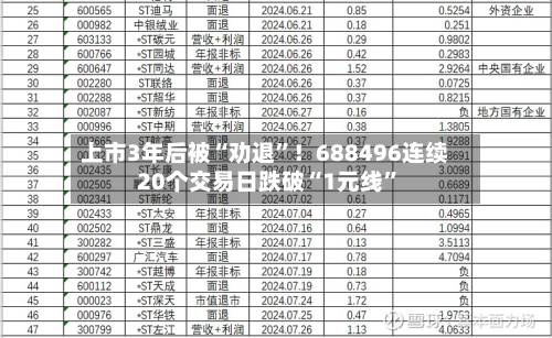 上市3年后被“劝退”！688496连续20个交易日跌破“1元线	”-第2张图片