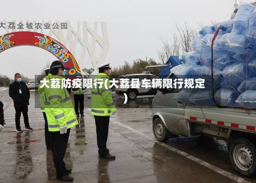 大荔防疫限行(大荔县车辆限行规定)