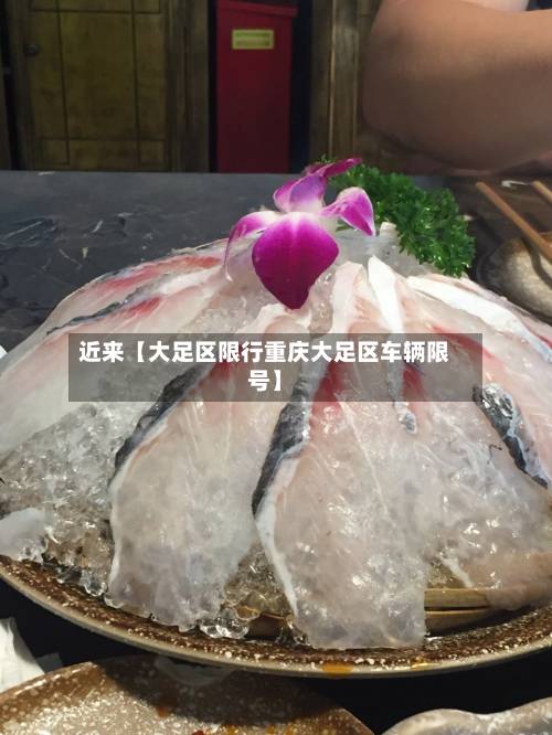 近来【大足区限行重庆大足区车辆限号】-第2张图片