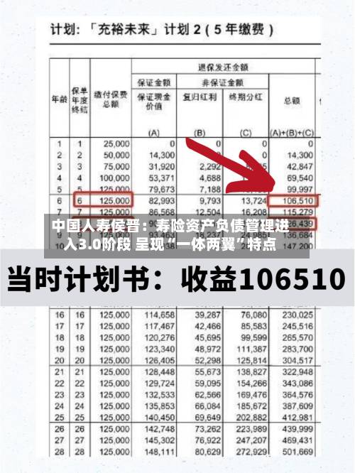 中国人寿侯晋：寿险资产负债管理进入3.0阶段 呈现“一体两翼”特点-第2张图片