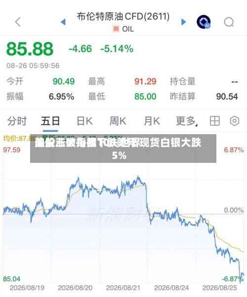 美股三大指数下跌 世界
油价涨破每桶100美元 现货白银大跌5%-第3张图片