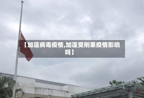 【加蓬病毒疫情,加蓬受刚果疫情影响吗】