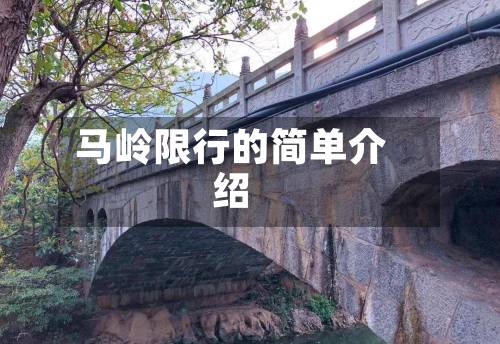 马岭限行的简单介绍-第2张图片