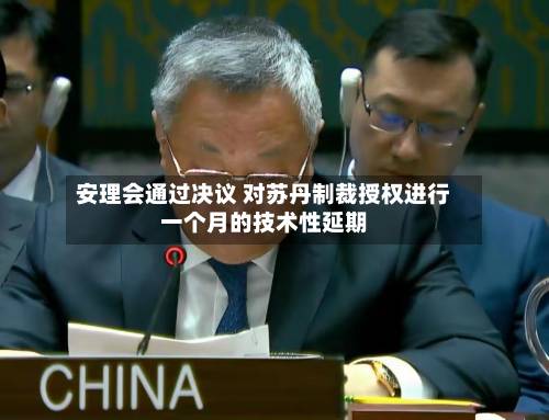 安理会通过决议 对苏丹制裁授权进行一个月的技术性延期-第2张图片