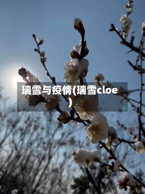 瑞雪与疫情(瑞雪cloe)